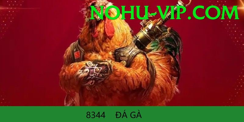 Đá Gà Trực Tiếp - nohu - Miễn phí