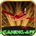 x6x6 King Gaming App