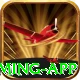 x6x6 King Gaming App